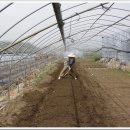 동연농장 이미지