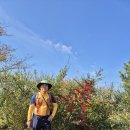 장항도선장앞 광장 | 서해랑길55코스(장항도선장-금강하구둑-시비공원-경암동철길마을-진포해양테마공원)