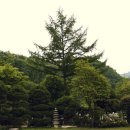 한마음펜션 이미지