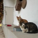 기흥2농장 이미지