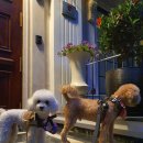 토리프로젝트 이미지