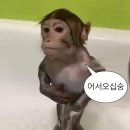 레젼드주점