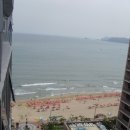 팔레드시즈 이미지