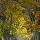 아름다운 가을 이미지 모음 이미지