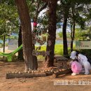 생태환경 평생학습강사 양성과정 이미지