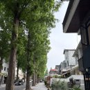 디배따(DIBETTA) | 창원 가로수길 데이트 완내스 신상 카페 | 디배따(dibetta) 후기