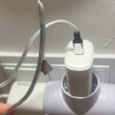 세비야 | 스페인 여행 세비야 (5) 플라멩고 박물관 공연 후기 / 세비야 가이드 추천 츄러스 맛집 Bar El Comercio