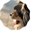 ING골프연습장 이미지