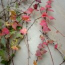 정다운마을 이미지