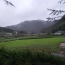 두메아리 이미지