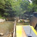 숲속송정농원 이미지