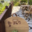 힐347