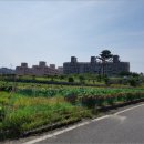 동부로 옥천-2-1 이미지