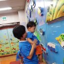 죠이랜드 이미지