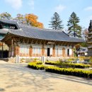 충남 공주 가볼만한 곳, 10선 ~ 추천 여행지, 인기 관광지, 맛집, 특산물 소개 🏯✨