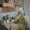 진헤어 | 시티세븐 미용실 추천 : 스타일바이크리스진헤어 고데기펌 후기