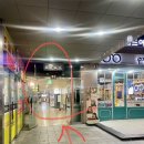 강남역 회 맛집 ‘더오이시’ 솔직 후기｜푸짐한 숙성회 퀄리티 미쳤다!