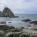 이기대 동생말 이미지