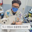 러브펫애견용품 | 영등포 동물병원 | 러브펫 동물병원 여행필수 예방 접종