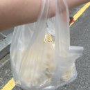 뭉이네식탁