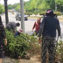 선부1동 행정복지센터 이미지