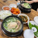 금산삼계탕 | 안산 중앙동 삼계탕 맛집 금산삼계탕 내돈내산 후기 (+인삼주 제공)