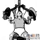 햄머 인클라인 프레스 (Hammer incline press) 이미지