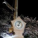 진해 덕산동 주민센터 | 낮보다 10배 예쁜 진해군항제 야경 여좌천 로망스다리 감성 총정리