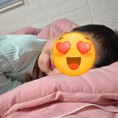 은행나무한의원 | 11월 일상 #1, 도파민 행복 여기 있다🌻