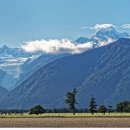 내인생의 봄날 이미지