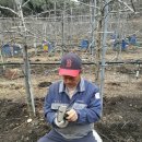 강원친환경유기농 이미지