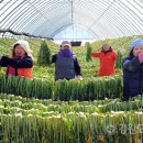 해안면힐링하우스 이미지