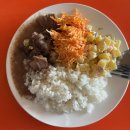 초원어린이집차량(1대) | 몽골 5월 6월 여행 솔직 후기 — 붐비기 전 대자연 독점하는 법(실비 공개)