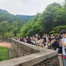 푸바오가 쏘아올린 韓 ‘쓰촨 관광’ 열기 이미지