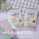 배에 가스찰때 음식 이것 아이허브 추천템 CGN 유산균
