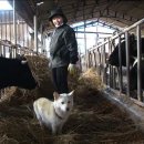 우정목장 이미지