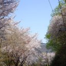 청주 한우맛집 청남대한우 방문 후기