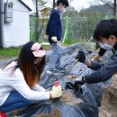 문장초등학교 이미지