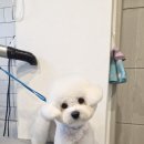 홍글몽글 이미지