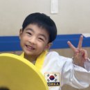 청사태권도장 이미지