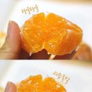 농민농장 이미지