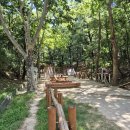 국립대구박물관 쉼터 이미지