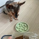 유한회사 토브 네이버블로그