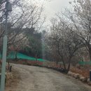 금정민물장어 네이버블로그