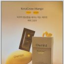 헤어 이너뷰티 루틴 『오니스트 케라그로우』먹어 본 후기