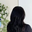 은비헤어 - 충주시 | 은비헤어