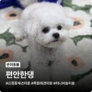뽀송