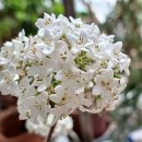 이길수농장 이미지