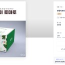 토마토디자인 브런치