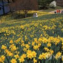 알프스랜드 이미지